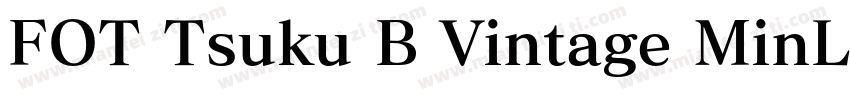 FOT Tsuku B Vintage MinL Pro字体转换